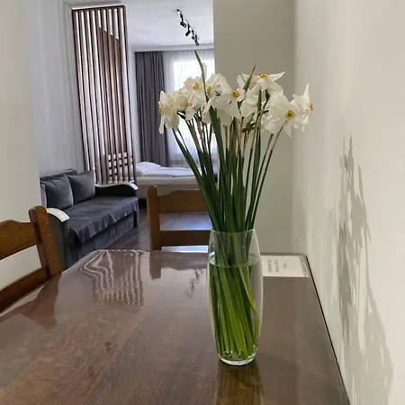 Apartamento фурманська, 3